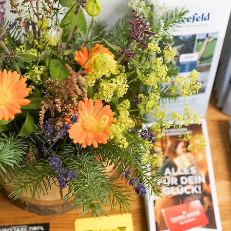 公寓 My Krinzwald *