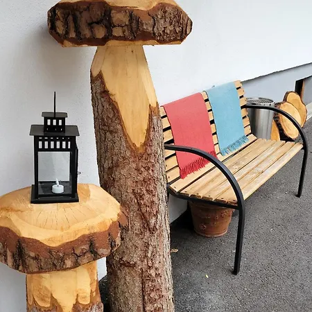 公寓 My Krinzwald *