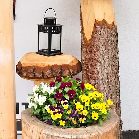 My Krinzwald Seefeld w Tirolu
